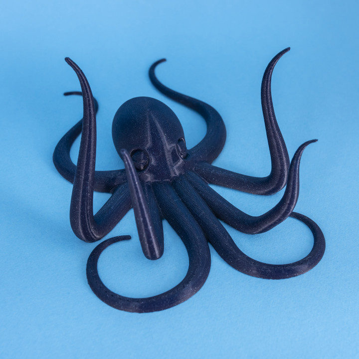 Octopus // Wall Hanger image