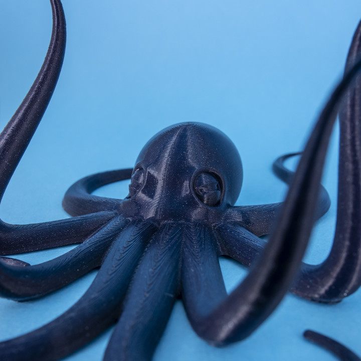 Octopus // Wall Hanger image