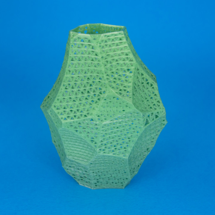 Wireframe Flint Vase image