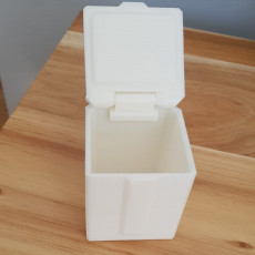 Picture of print of Singularity Box - Support-free hinged lid!