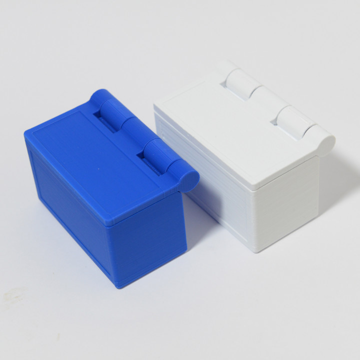 Polarity Box - hinged lid prints in place, zero support! image