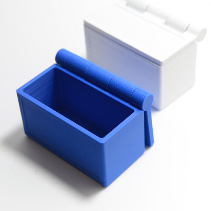Polarity Box - hinged lid prints in place, zero support! image