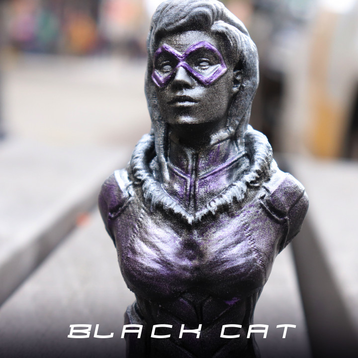 Black Cat from the Spiderman Comics (support free bust) image