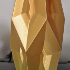 Picture of print of Flame Facet Vase