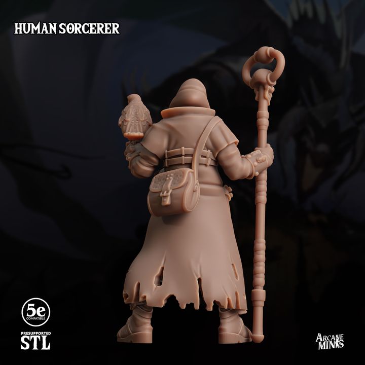 Human Sorcerer - Carren Pirates image