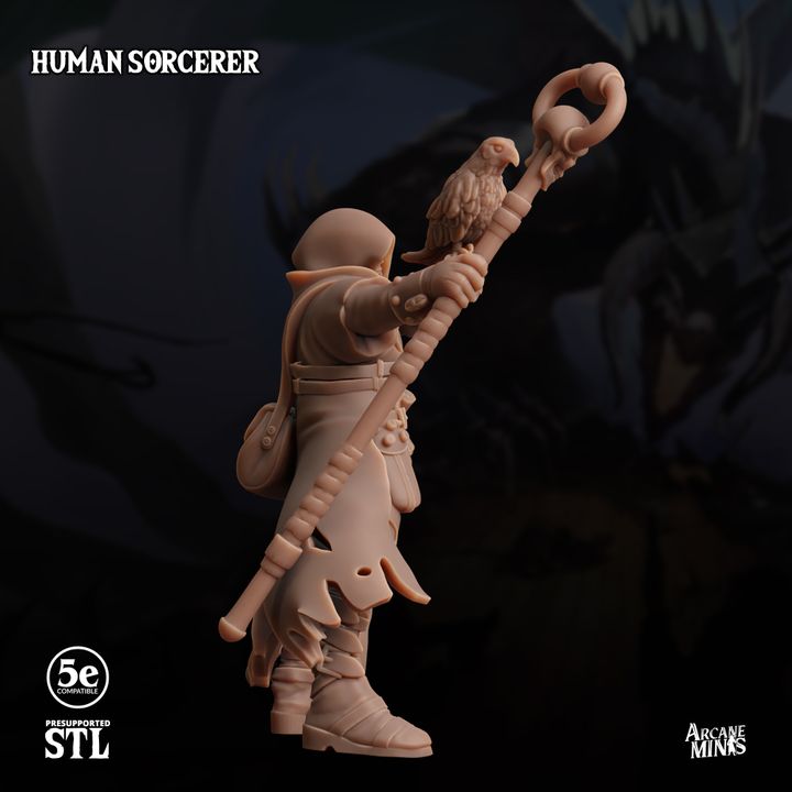 Human Sorcerer - Carren Pirates image