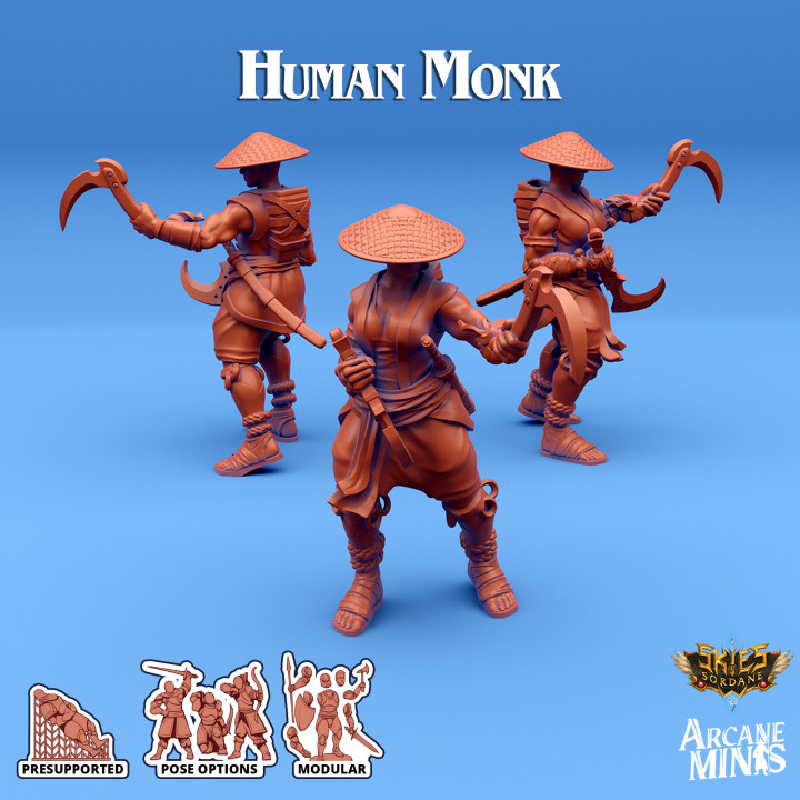 Human Monk - Carren Pirates image
