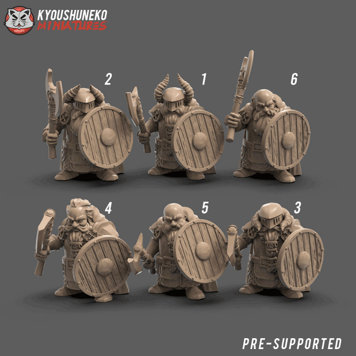 Dwarf Axe and Shield Unit image
