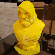Picture of print of The wanderer Bust