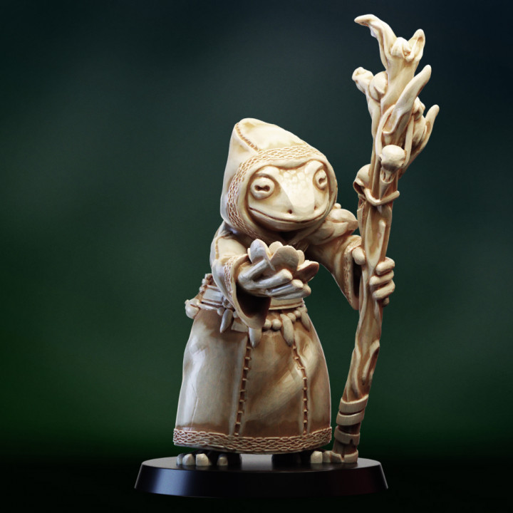 Druid shaman Frogfolk image