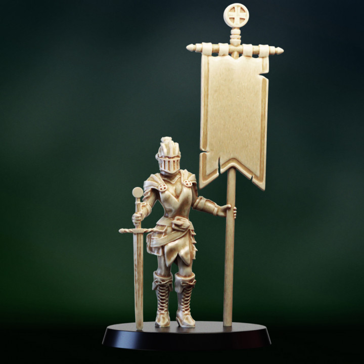 Female knight crusader standard bearer image