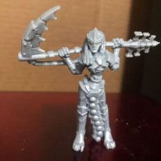 Picture of print of Undead space cyborg lady warrior