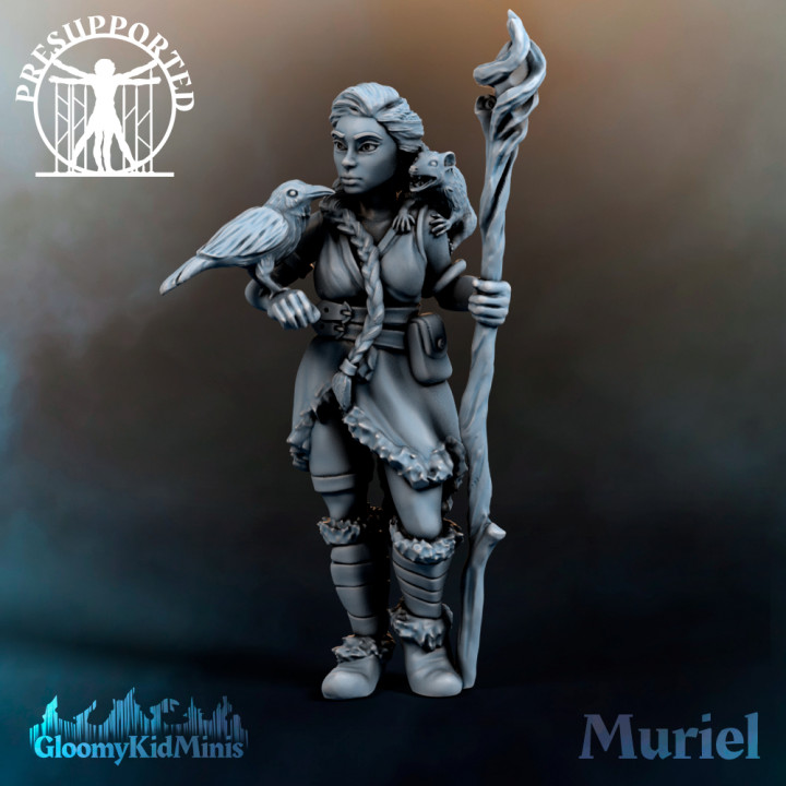 Muriel, Druid of the Plains image