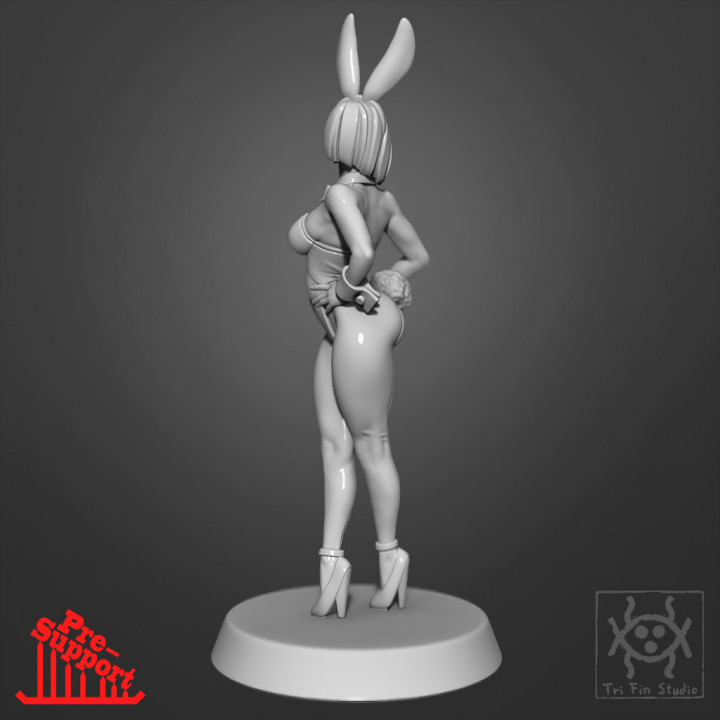 Pin up - Bunny girl image