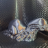 Snailien (Snail-Alien Xenomorph Mashup) Lawn Sculpture print image