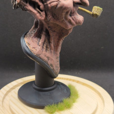 Picture of print of Toadmaster bust