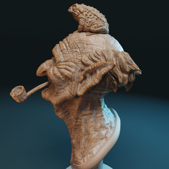 Toadmaster bust image