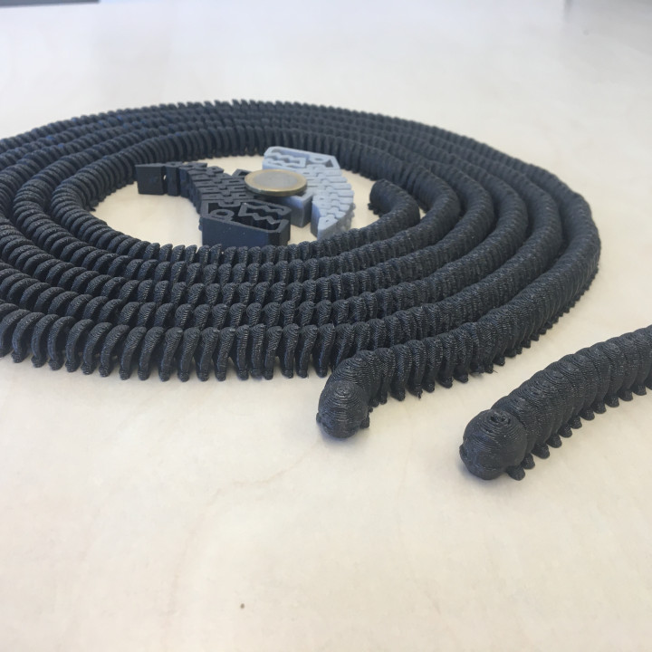 1000 feet flexible millipede Print-in-place FLEXIBLE NO SUPPORT image