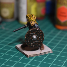 Picture of print of 2 x Shieldmaiden Chieftain Aidda Modular PRESUPPORTED