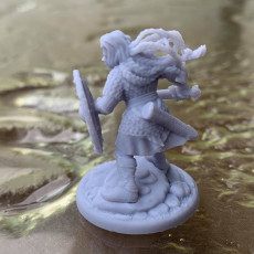 Picture of print of 2 x Shieldmaiden Chieftain Aidda Modular PRESUPPORTED