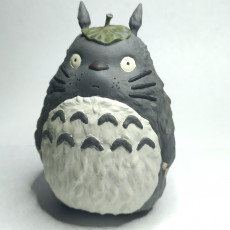 Picture of print of Totoro(My Neighbor Totoro)