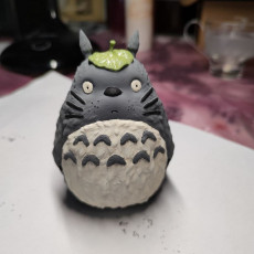 Picture of print of Totoro(My Neighbor Totoro)