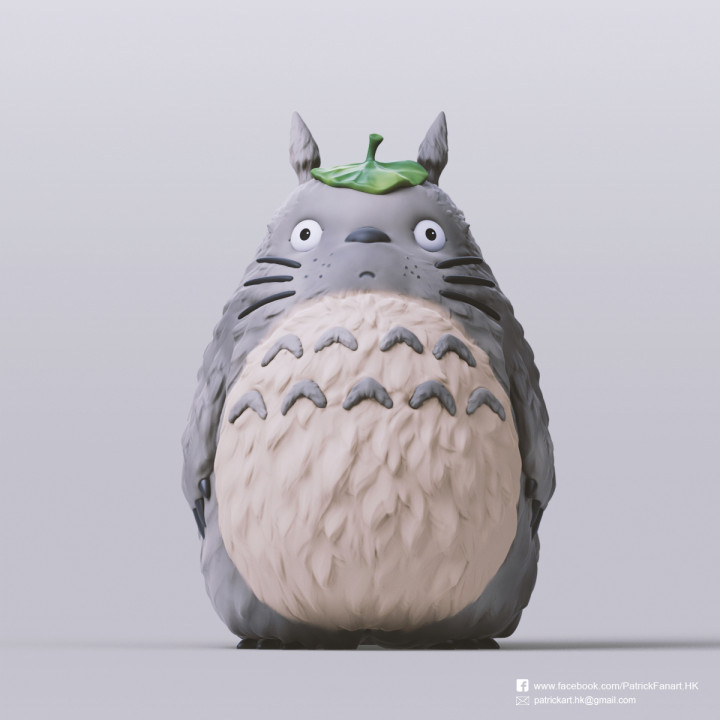 Totoro(My Neighbor Totoro) image