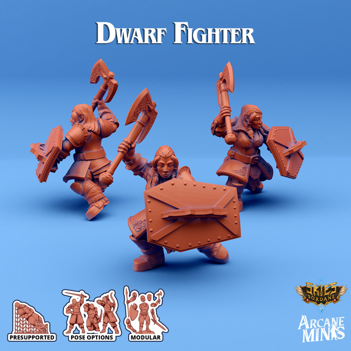 Dwarf Fighter - Merchant Guilds image