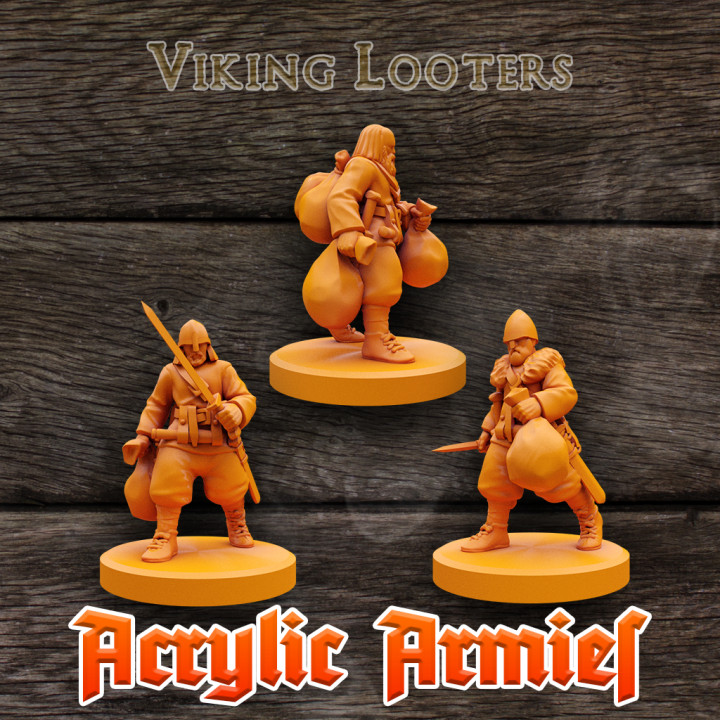 Viking Looters x3 image