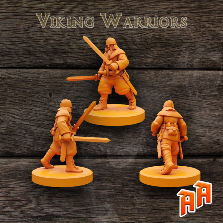 Viking Warriors x3 image