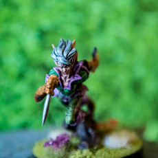 Picture of print of Quicksliver - Fey Fighter - PRESUPPORTED - 32mm Scale