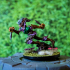 Quicksliver - Fey Fighter - PRESUPPORTED - 32mm Scale print image