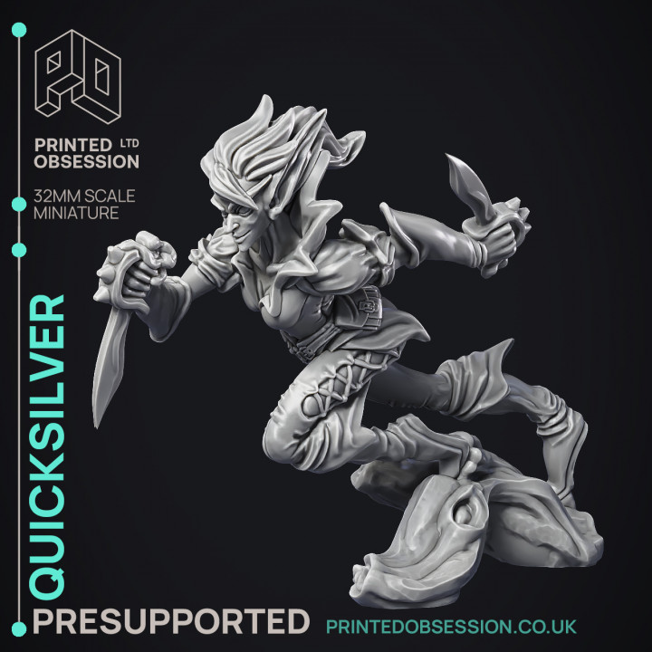 Quicksliver - Fey Fighter - PRESUPPORTED - 32mm Scale image