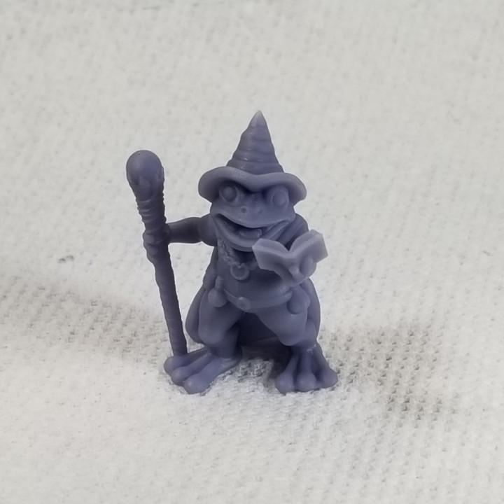Frog Wizard image