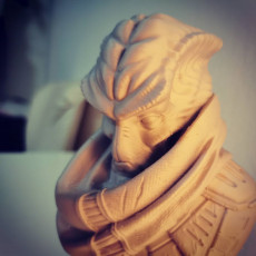 Picture of print of Alien Bounty Hunter bust