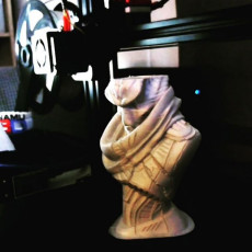Picture of print of Alien Bounty Hunter bust