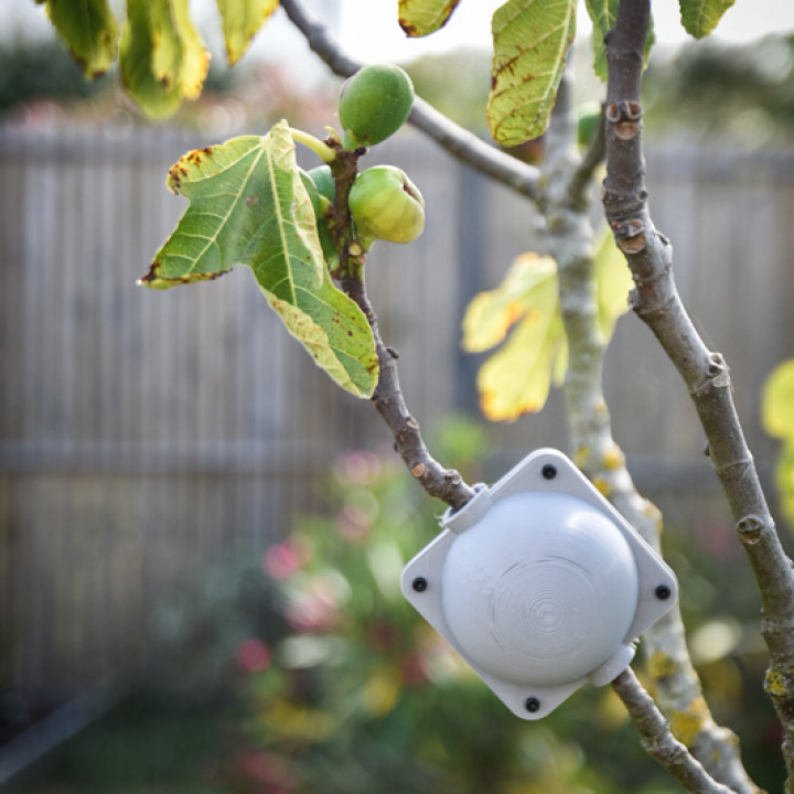 3D Printable Plant root growing ball by Kewyn