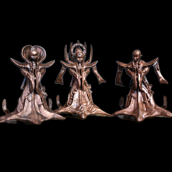 dnd The lady Of Pain Fantasy TTRPG Miniature With Varied Head Pieces image