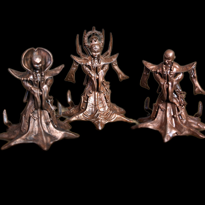 dnd The lady Of Pain Fantasy TTRPG Miniature With Varied Head Pieces