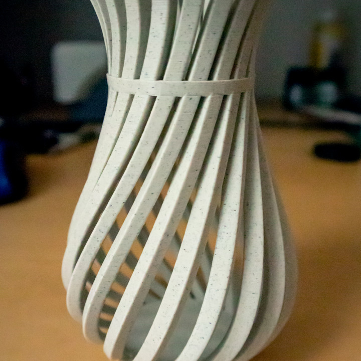 Weird Twisty Vase image