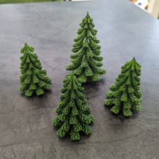 Picture of print of Pine Trees