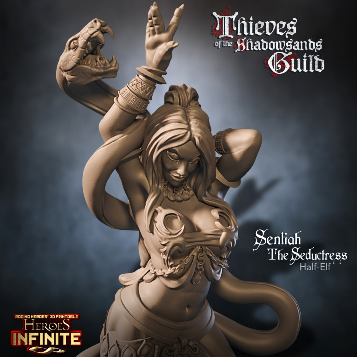 On foot only: THIEVES of the Shadowsands Guild SMALL Pack. [WITHOUT minis on flying carpets and WITHOUT Zaahid Giant Size] image