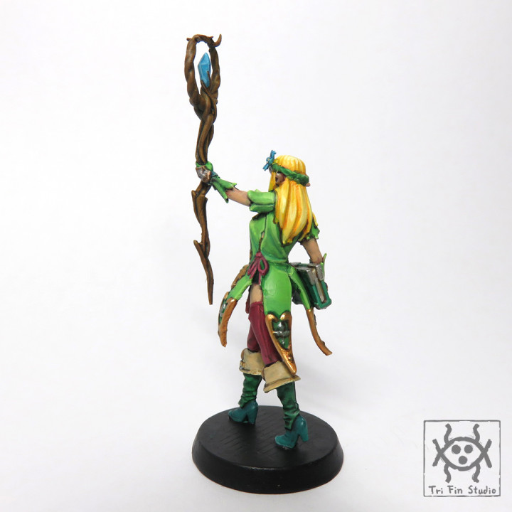 Adventurer - Elf Sorceress image