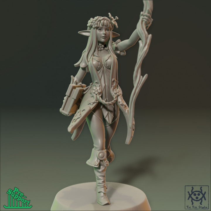 Adventurer - Elf Sorceress image