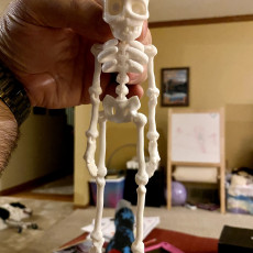 Picture of print of CUTE FLEXI PRINT-IN-PLACE SKELETON