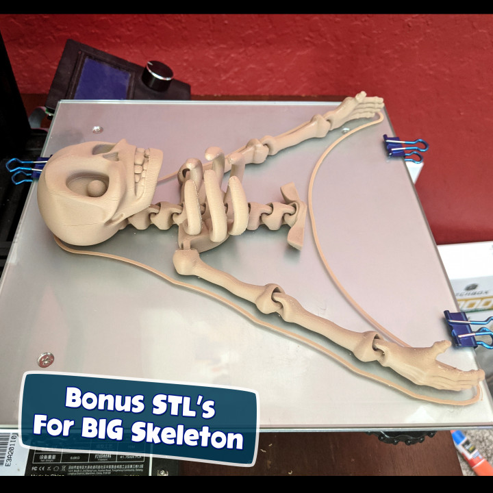 CUTE FLEXI PRINT-IN-PLACE SKELETON image
