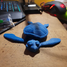 Picture of print of CUTE FLEXI PRINT-IN-PLACE TURTLE