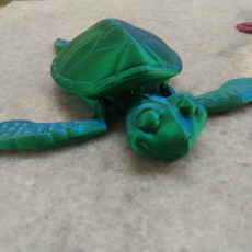 Picture of print of CUTE FLEXI PRINT-IN-PLACE TURTLE