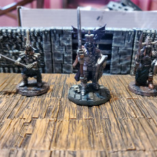 Picture of print of Barrow Wights Unit