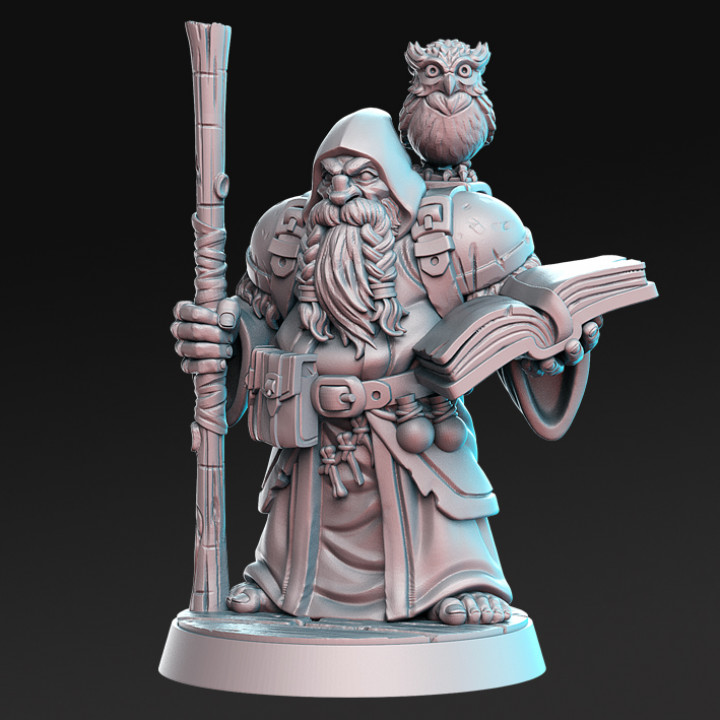 Dramnir - Dwarf Wizard with owl - 32mm - DnD image